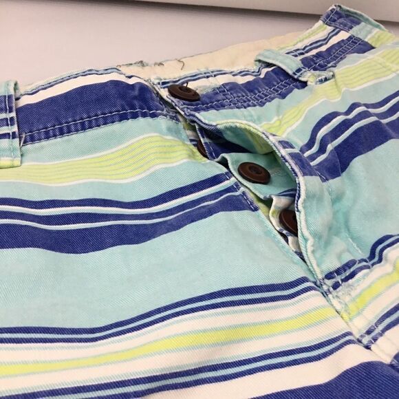 American Eagle Striped Button Fly Shorts (UC4) - Picture 7 of 8